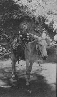 A man on a mule.