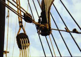 Looking up into the rigging.